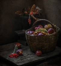 Aus der Serie &quot;Zeit der Reife ...&quot; / ...