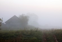 Fog / ***