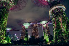 Futuristic gardens / ***