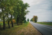 Road / ***