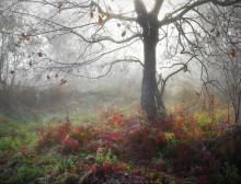 Atem des Herbstes / ...