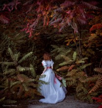 Go back to the fairy tale / ***