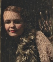Fenster / ***