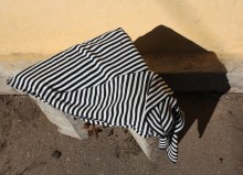 Striped Friday / ***