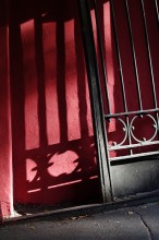 gestreift Freitag / ***