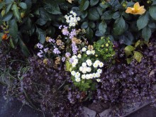 Herbst in der Stadt / ***
