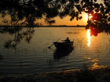 Walk at sunset / ***