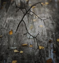 Autumn / ...............................