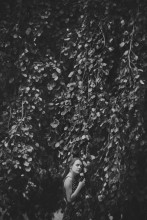 Leaves whisper / leaves whisper
