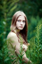 Eyes / westkis.com