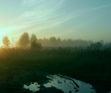 Morning. / ***