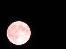 Moonlight Sonata / ***