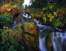 Rivers of milk / ***
