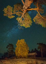 The Milky Way. / ***