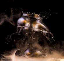 Splash - octopus / ***