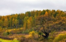 Herbst / ***