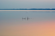 On the sunset / ***