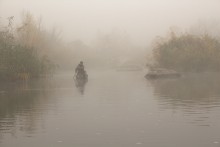 Nebel Großvater Andromeda. / ***