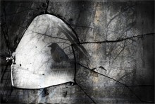 February Rhapsody * / **_________-