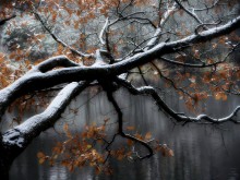 First snow / ***