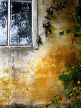 Window / ......