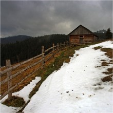 Carpathian motifs / ***