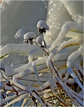 Fantasy frost / ***