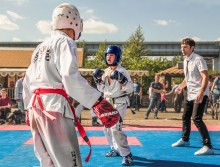 Taekwondo / ***