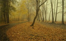 October morning / ***