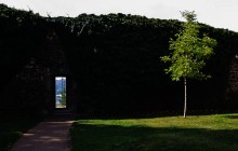 Zum Licht / ***