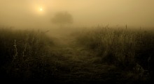 Awakening / ***