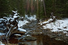 Der erste Schnee / ***