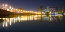 Night City Lights / ---
