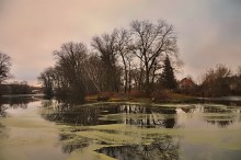 On the threshold of winter / ***