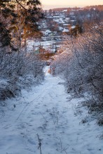 Winter sketches. / ***