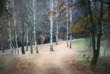 Autumn / ***