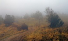 Mountain road / ***