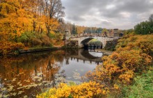 Fall in Pavlovsk / ***