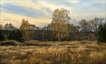 Autumn motive. / ***