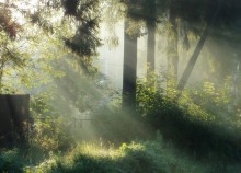 Morning at the Well / ***