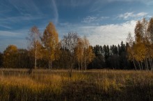 Autumn Beauty 2 / ***