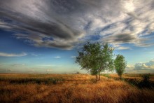 steppe landscape / ***