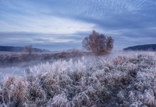 Autumn picture / ***
