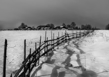 Along the fence ... / ***