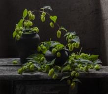 From the series "Simple stories ..." / ...