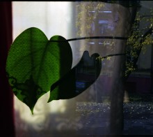 &quot;Ihre Augen glauben Sie nicht&quot; / [img]http://s04.radikal.ru/i177/1411/80/4b7f81ef51c8.jpg[/img]
[img]http://s017.radikal.ru/i417/1411/65/ef15faacd4cf.jpg[/img]
[img]http://s017.radikal.ru/i403/1411/5b/cd10738dd4d6.jpg[/img]
[img]http://s014.radikal.ru/i327/1411/f3/f79c9c81fced.jpg[/img]
[img]http://s50.radikal.ru/i127/1411/d8/c0da94f7666d.jpg[/img]
[img]http://s013.radikal.ru/i323/1411/18/49abc41e629d.jpg[/img]
[img]http://s020.radikal.ru/i705/1411/12/d09ac4a252f2.jpg[/img]
[img]http://s017.radikal.ru/i430/1411/2a/92415ee5e2dd.jpg[/img]
