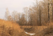 "There on unknown tracks ..." / ***
