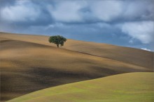 On a windy day / ***