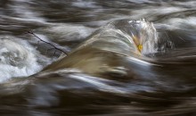 River torrent / ***