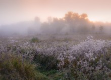 "Colors of frost in the morning" / ***